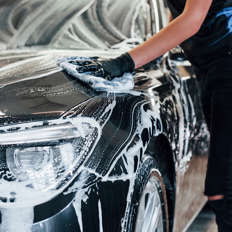 Annual Eco Steam Wash Membership